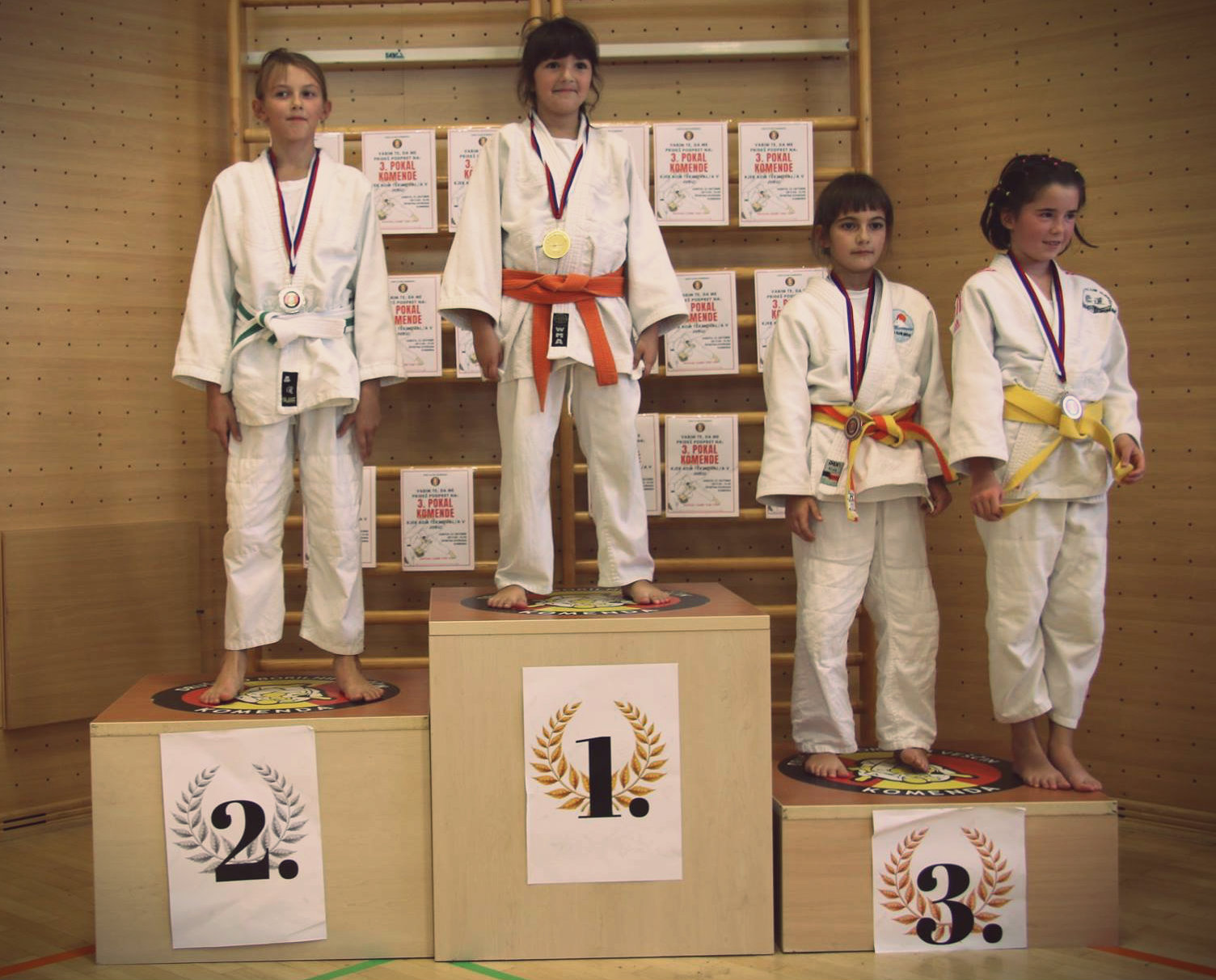 judo tekmovanje